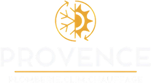 Provence Plomberie Clim Chauffage Depannage Urgence Plomberie Marseille 13006 Logo White 1